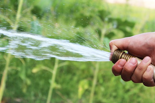 Hand Lawn Watering