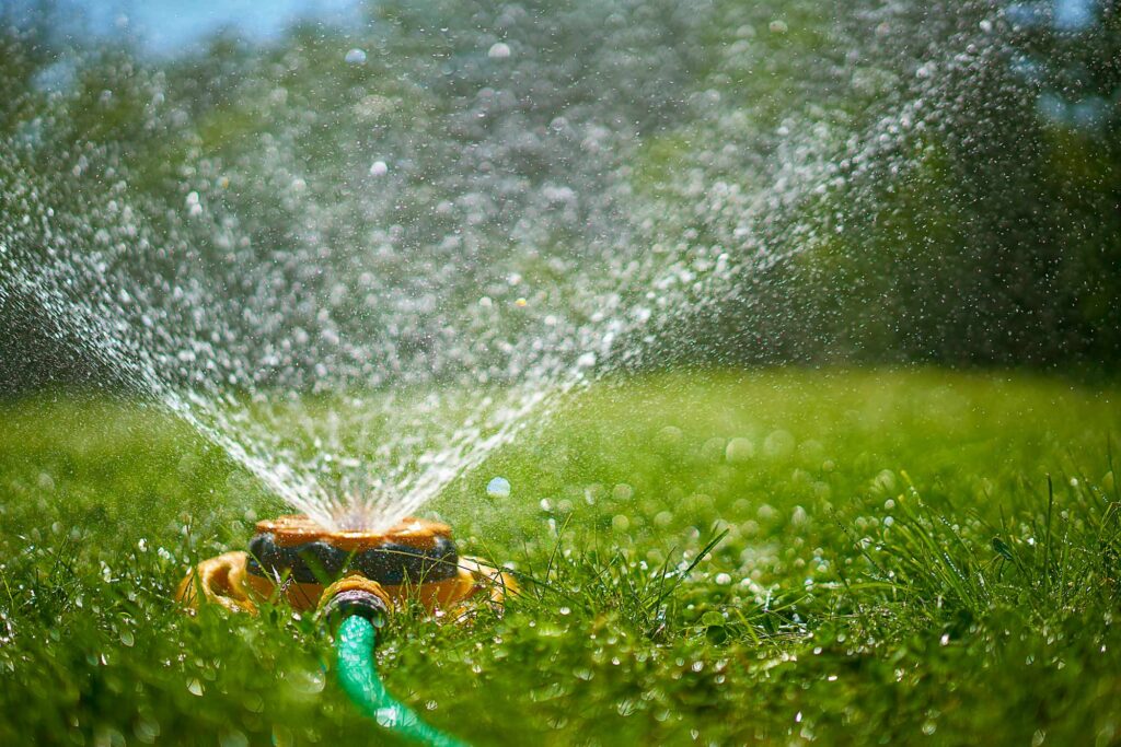 Watering Lawn
