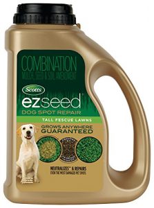 Easy Seed Dog Urine