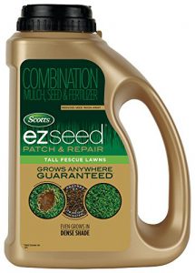 Easy Seed Tall Fescue