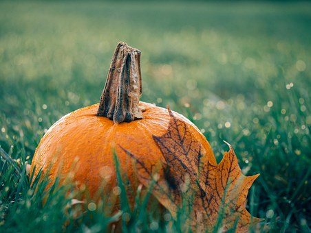 Fall Season