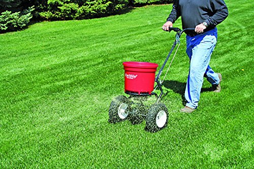 Fertilizing The Lawn