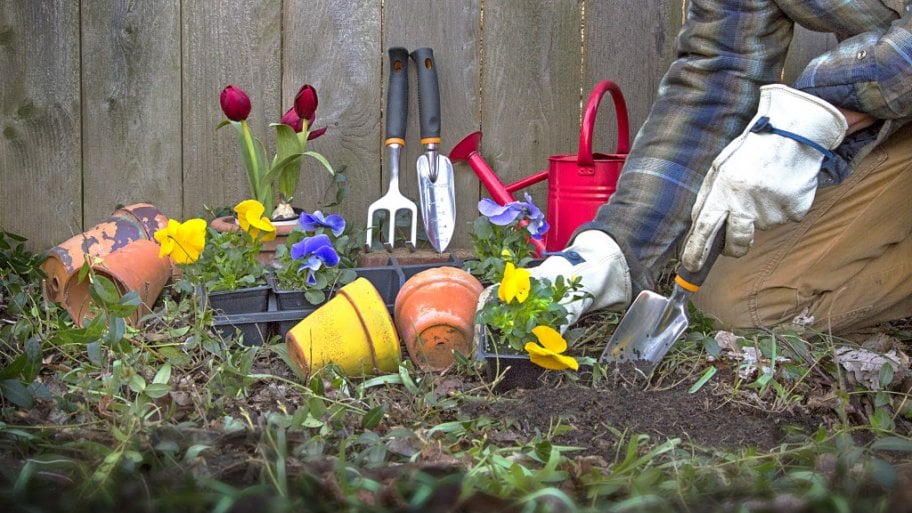 Flowerbed Maintenance
