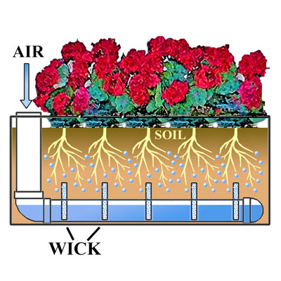 Self Watering Reservoir
