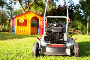Lawn Maintenance