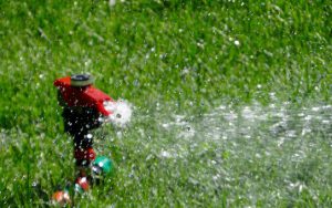 Water The Lawn